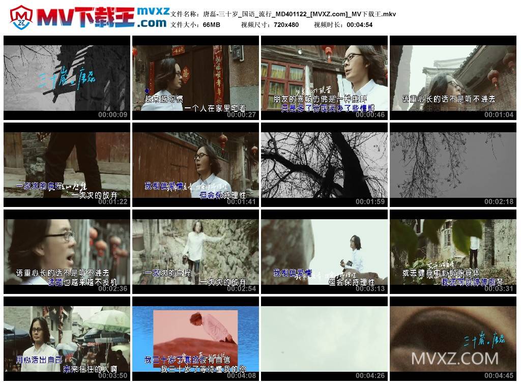 唐磊-三十岁_国语_流行_MD401122